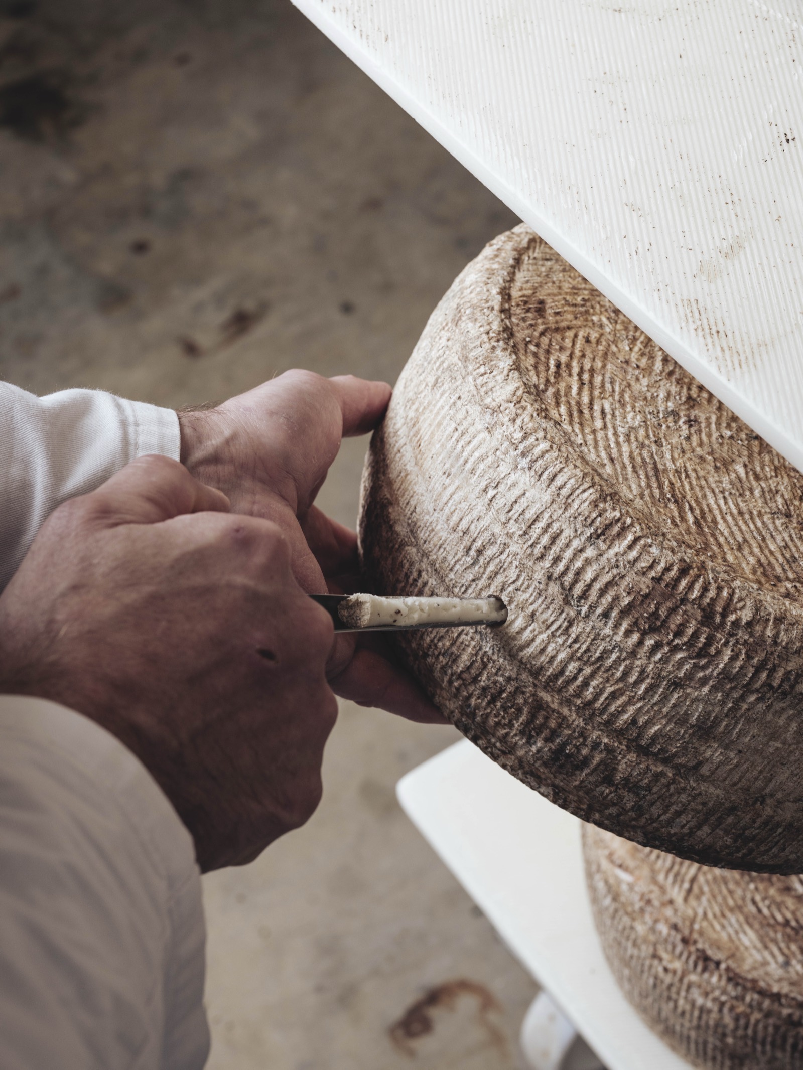 Affinage des fromages en cave